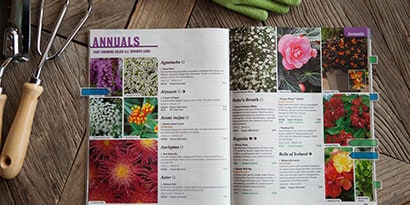 Mark your favorite seed catalogues.